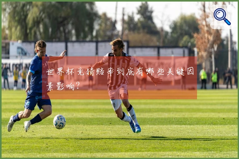 世界杯竞猜赔率到底有哪些关键因素影响？