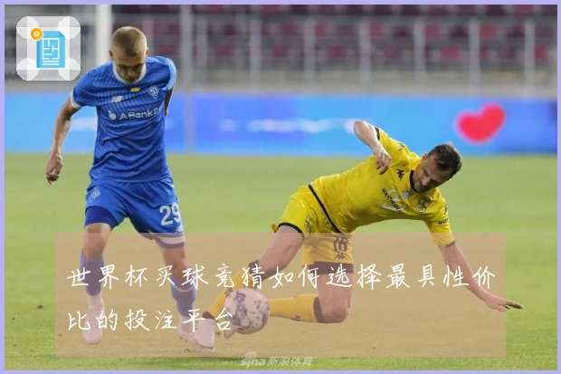 世界杯买球竞猜如何选择最具性价比的投注平台
