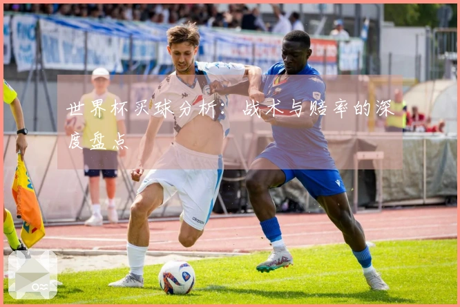 世界杯买球分析：战术与赔率的深度盘点