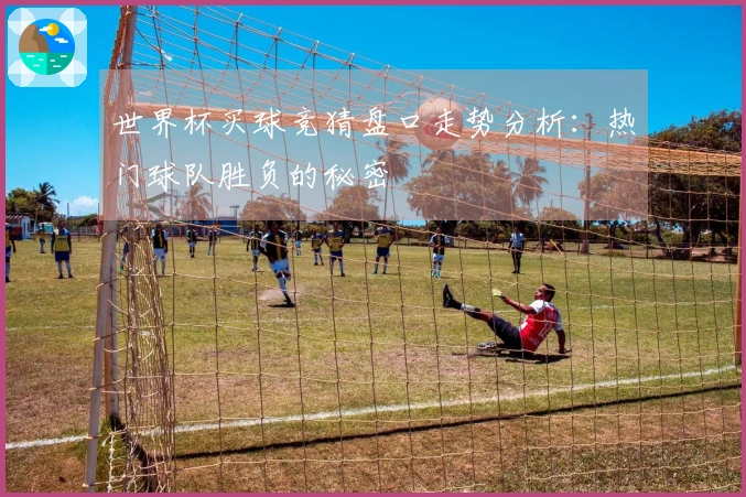 世界杯买球竞猜盘口走势分析：热门球队胜负的秘密