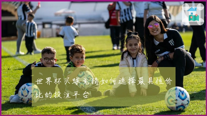 世界杯买球竞猜如何选择最具性价比的投注平台